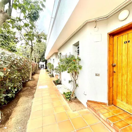 公寓 Bonito Estudio Con Wifi Y Piscina Comuna En La Costa Sur De Tenerife 洛斯克里斯蒂亚诺斯