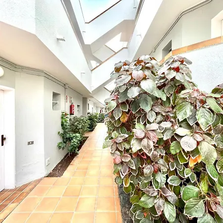 Bonito Estudio Con Wifi Y Piscina Comuna En La Costa Sur De Tenerife * 洛斯克里斯蒂亚诺斯